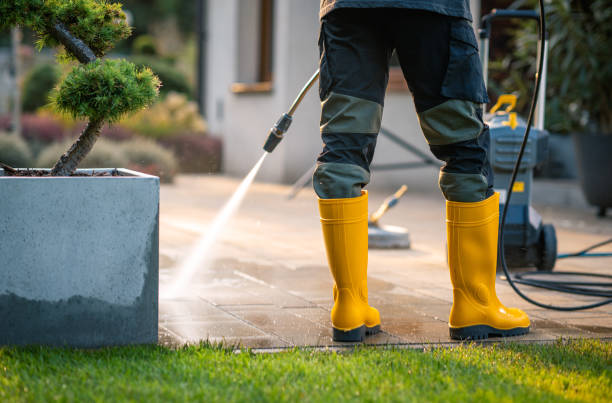 Best House Pressure Washing  in Surrey, ND